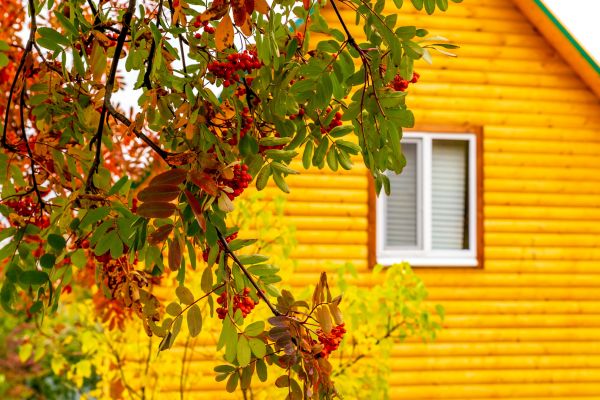 Garden Window Replacement in Delray Beach